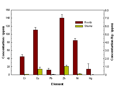 Before Treatment by The Heller Process
